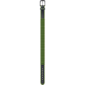 AMPLIFI Stud Team Belt