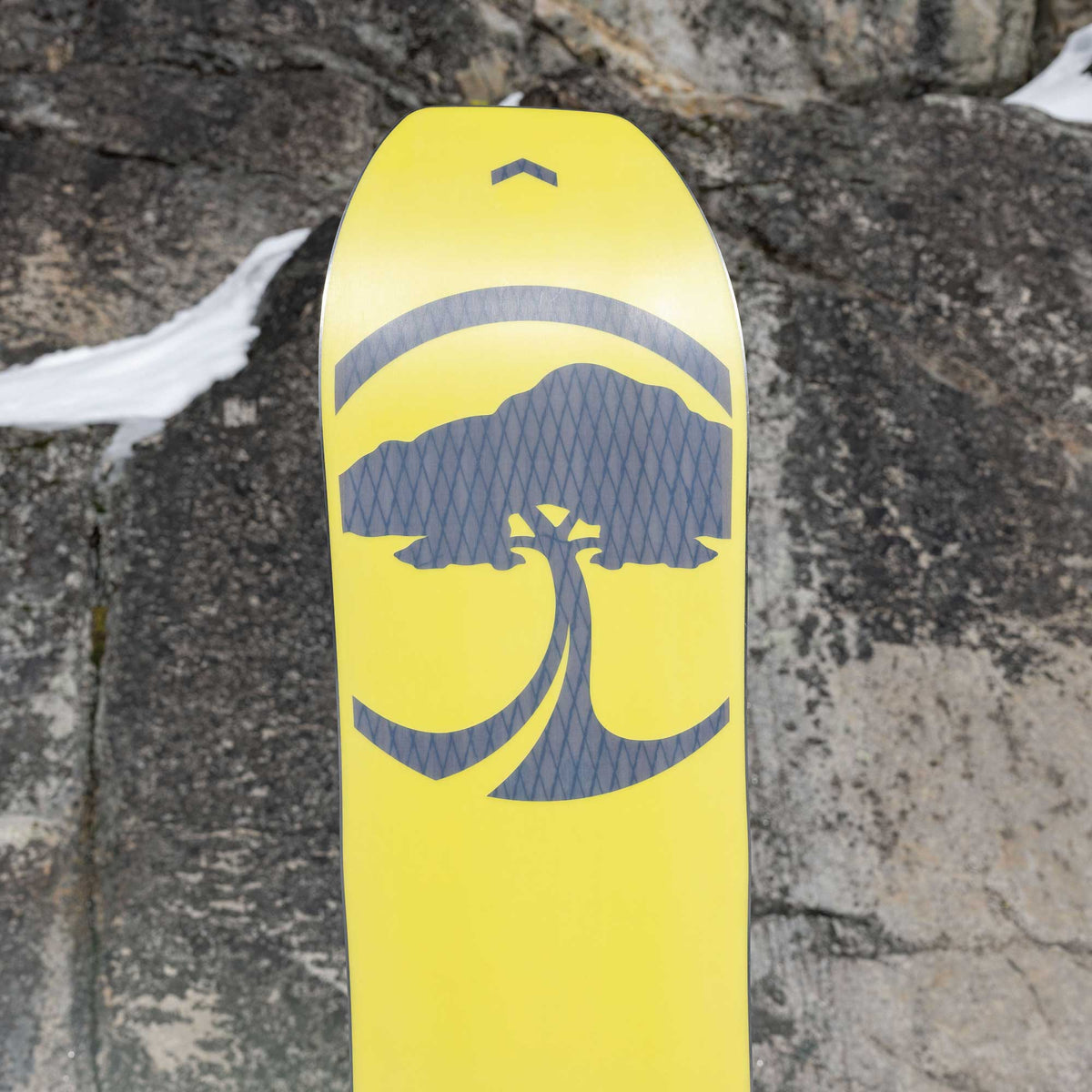 ARBOR Carbon Coda Camber Snowboard 2024 by Pat Moore