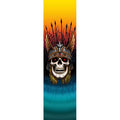 Powell Peralta Griptape Andy Anderson 10.5''
