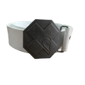 Quiksilver Belt X White